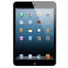Apple MD540B/A iPad Mini 7.9inch Tablet