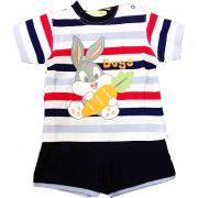 Wholesale Boys Bugs Bunny Shorts Sets