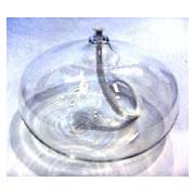 Wholesale Small Flat Oil Lamp