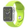 Apple MJ2U2B/A 38 Mm Silver Aluminium Green Watch