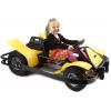 Pacer Electric Go-karts...your Route To Success wholesale