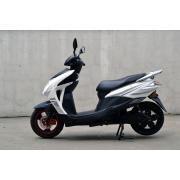 Wholesale Mid Level Electric Moped