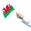 Wales Waving Flags 15cm X 2 2cm Pack Of 12 wholesale