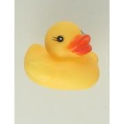 Wholesale PVC Duck
