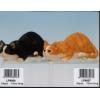 Black and White Crouching Cats giftware wholesale