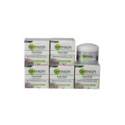 Wholesale 48 X 50ml Garnier Essentials Moisturising Protective Cream 