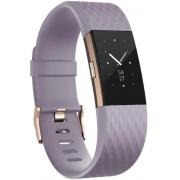 Wholesale Fitbit FB407RGLVS-EU Charge Heart Rate Fitness Tracker