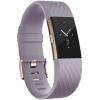 Fitbit FB407RGLVS-EU Charge Heart Rate Fitness Tracker