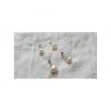 Earrings - Freshwater Pearls - 23 Pairs wholesale