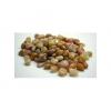 Peach Aventurine Tumble Stones wholesale