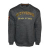 Licensed Harry Potter Gryffindor Sweatshirt Charcoal wholesale apparel