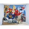 Spider-Man Wall Mural wholesale construction