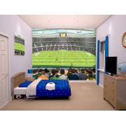 Wholesale Football Crazy Wall Mural 