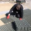 TRUEGRID Paving Grids