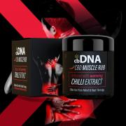 Wholesale 30 Gram CbDNA 300mg Full Spectrum Chilli Balm