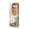 COCONUT CAPPUCCINO DRINK CAN 250ML wholesale milk-based drinks