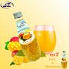 MANGO BASIL DRINKS GLASS BOTTLE 290ML beverages wholesale