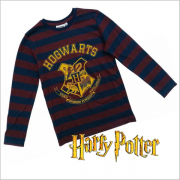 Wholesale HARRY POTTER HOGWARTS TOP, Pack Of 12